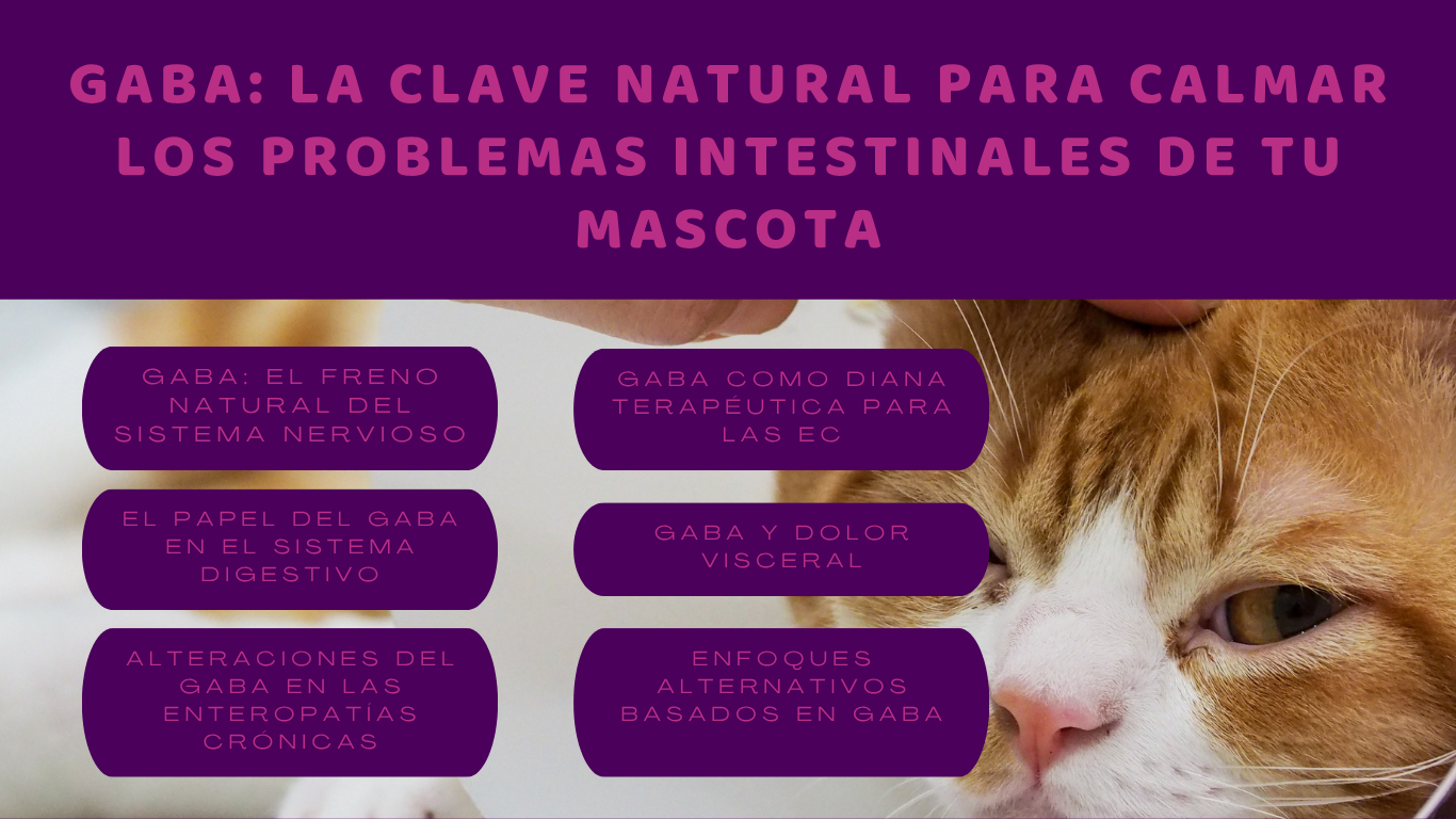 GABA: La Clave Natural para Calmar los Problemas Intestinales de tu Mascota